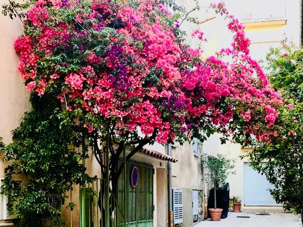 Apartamento Le Caillou A La Ponche St Tropez Saint-Tropez Exterior foto